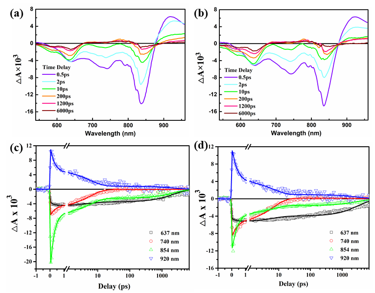李永舫院士团队：非等量D-A共聚策略合成高效聚合物给体光伏材料的图3