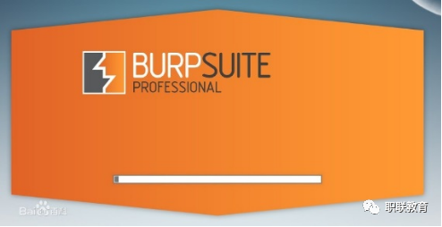 BurpSuite
