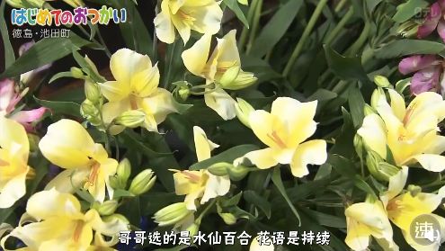 4歲哥哥帶2歲弟弟離家出走，只給媽媽留下一張紙條，背後的原因暖哭了… 未分類 第37張