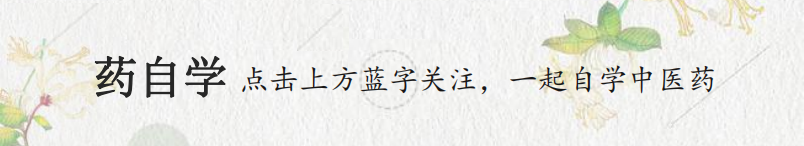 复方鲜竹沥液，清热化痰的好药