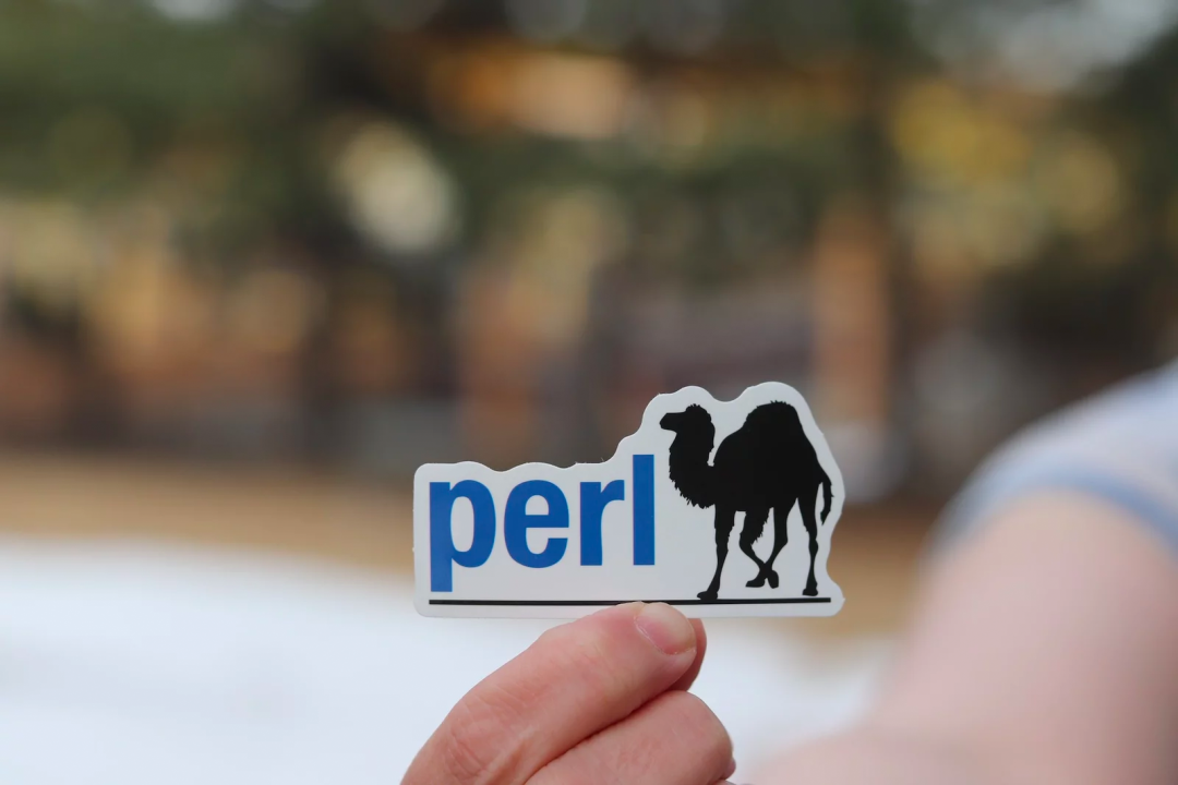 Perl 5.38.1 发布