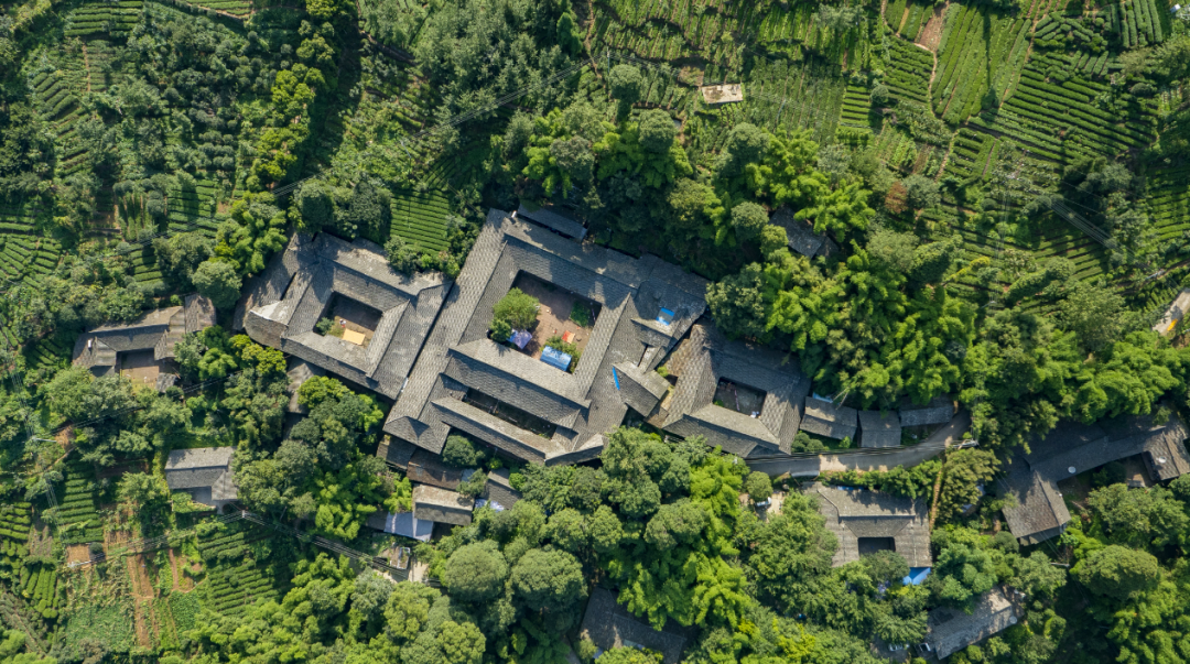 川西林盘怎么盘