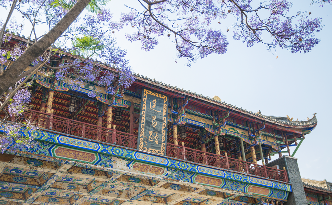 4月春假旅行榜｜挖到被低估的小城，春色比扬州更撩，钻进紫蓝色花海被治愈！