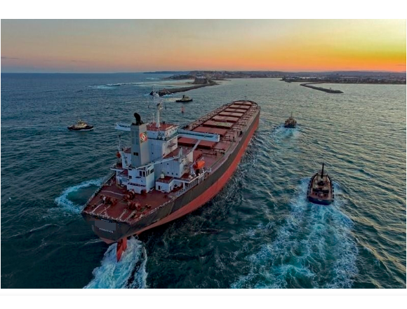 一中国船员澳洲换班时, 不幸坠落引航梯身亡