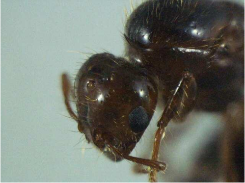 中国海事服务网