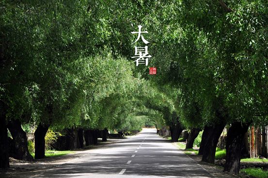 中国二十四节气_农历节气_九九节气歌