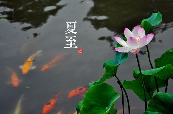 农历节气_九九节气歌_中国二十四节气