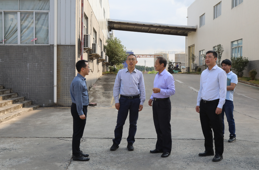 江门开平市人民政府门户网站