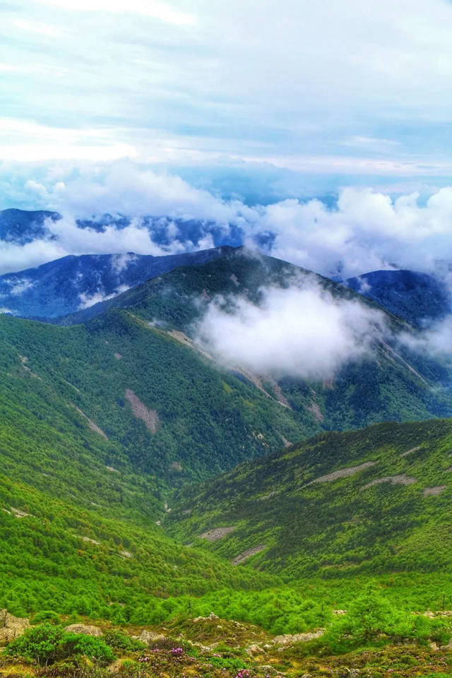 太白山旅游攻略_太白山在哪_太白山国家森林公园旅游攻略