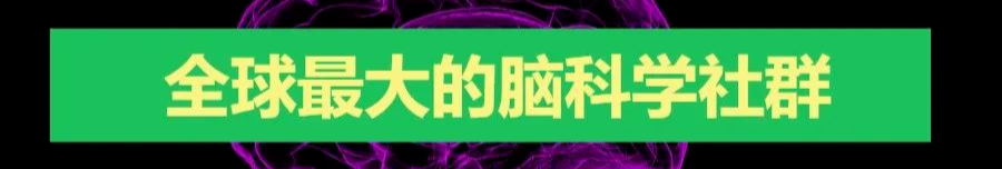 小鼠脑模具怎么用神经科学必备精确取材神器——大小鼠脑模具_https://www.jmylbn.com_新闻资讯_第10张