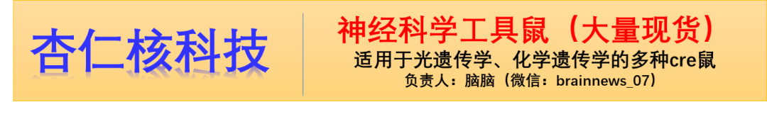med压力怎么弄Med： 陈蕾与谢小磊合作建立聚焦育龄期女性癫痫患者妊娠全流程的疾病负担评价体系_https://www.jmylbn.com_新闻资讯_第1张