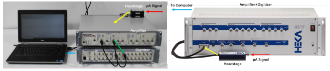 电生理设备有哪些电生理技术的新飞跃：全球最小的膜片钳放大器，可以放进衣服口袋_https://www.jmylbn.com_新闻资讯_第1张
