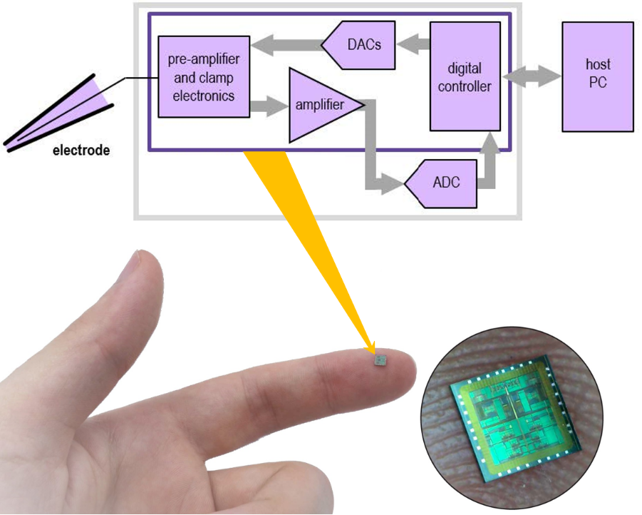电生理设备有哪些电生理技术的新飞跃：全球最小的膜片钳放大器，可以放进衣服口袋_https://www.jmylbn.com_新闻资讯_第7张