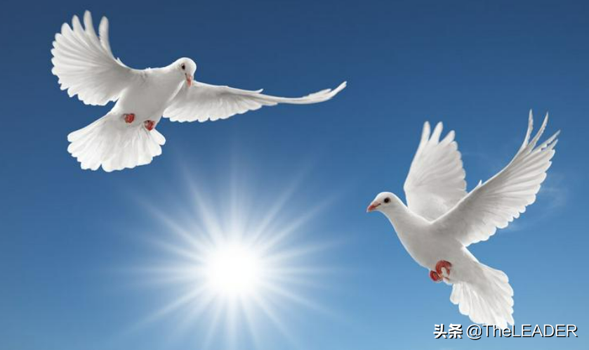 没有无人机的年代，怎么做到航拍的图17