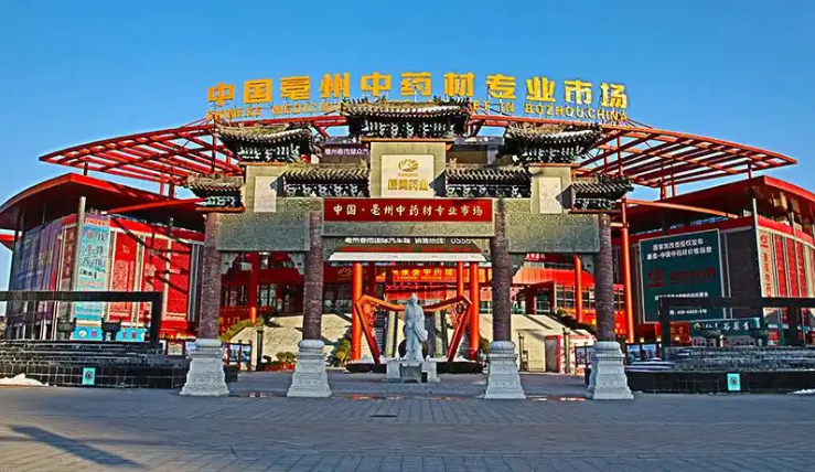 亳州药材市场最新行情播报（1.21）