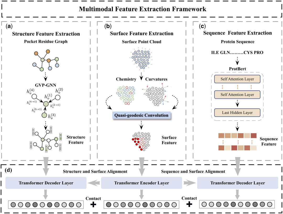 图 1：MFE 框架。