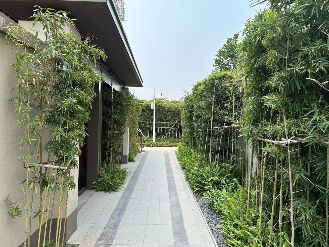 南沙佳兆业凤鸣山楼盘测评，周边配套怎么样？