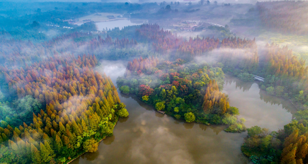 《崇明区区级城市维护项目管理办法》正式出台！