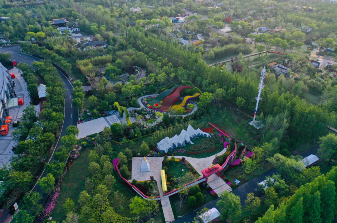 去年今日第十届中国花博会在崇明开幕