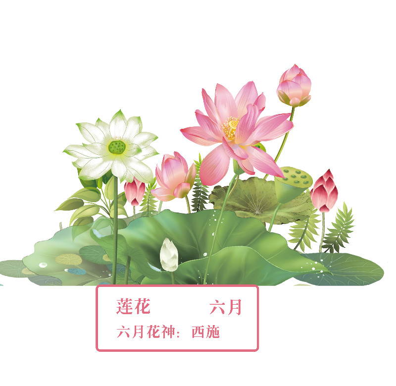 你好 花博 你知道十二花神吗 基金研究投资网