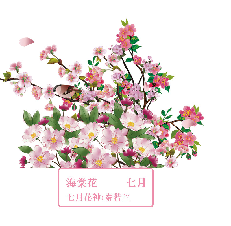 你好 花博 你知道十二花神吗 基金研究投资网