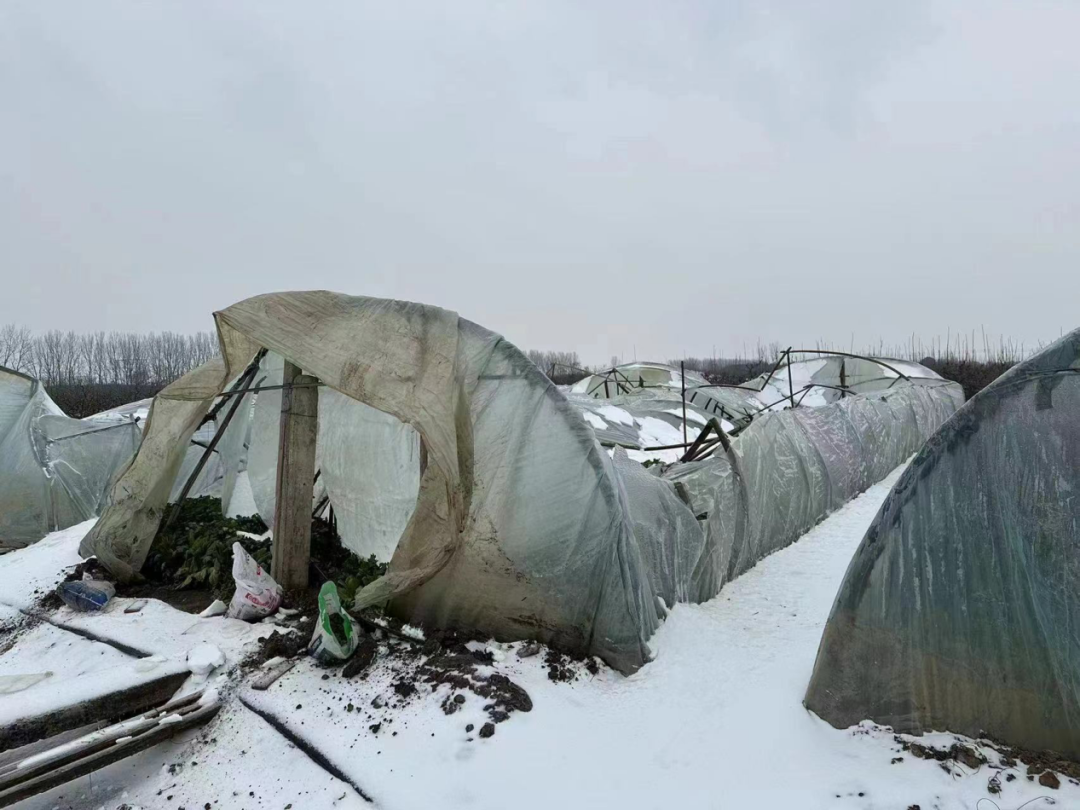 转载暖冬or冰火两重天南方周末的国际化专访报道