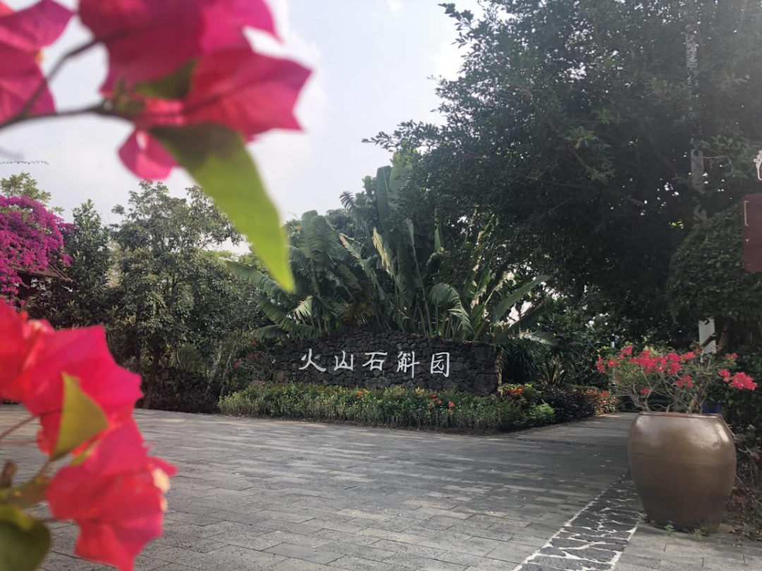 三分钟了解(海口火山石斛园)_海南零开品牌管理有限公司