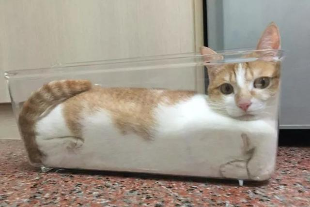 诺贝尔奖中国获奖者有几位_诺贝尔奖项中国人_中国诺贝尔奖有几个人