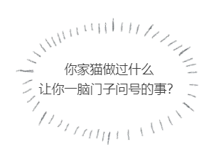 吸貓日報 | 貓嘗試在我爸的地中海上睡覺，我？？？ 寵物 第1張