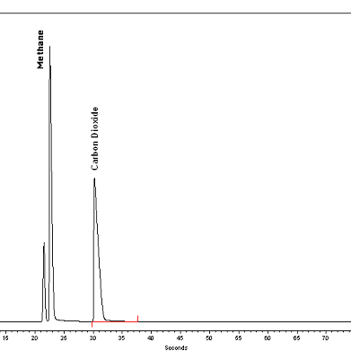 便携式气相色谱技术