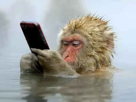 「伟哥」是怎么一步一步让他们沦陷的？