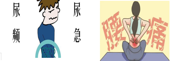 输尿管导管是什么小管道  大学问_https://www.jmylbn.com_新闻资讯_第4张