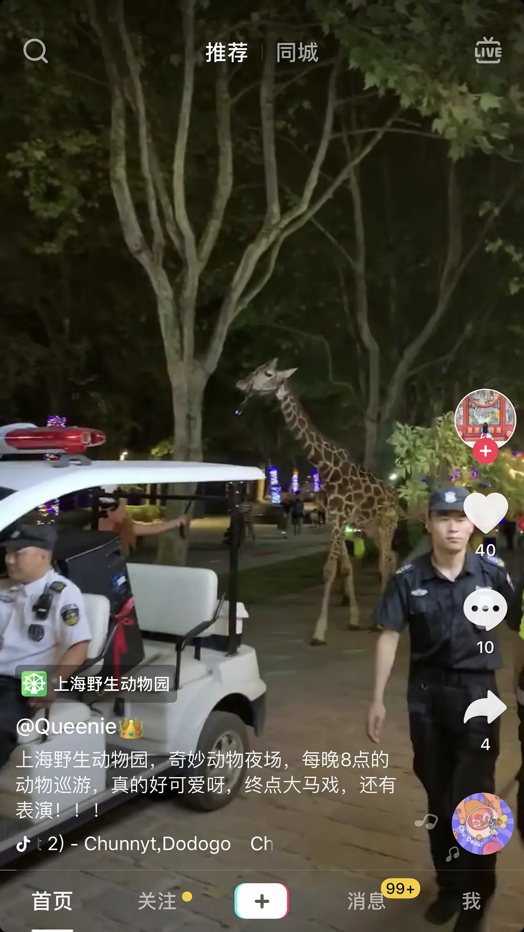 上海野生动物园熊吃人事件又有爆料 是谁先动的手 创意果子微信公众号文章