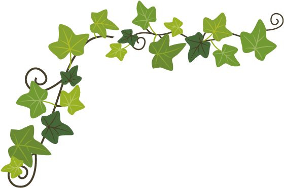 热烈庆祝青岛福山老年公寓第六届护理员节|新闻动态-青岛市市北区福山老年公寓