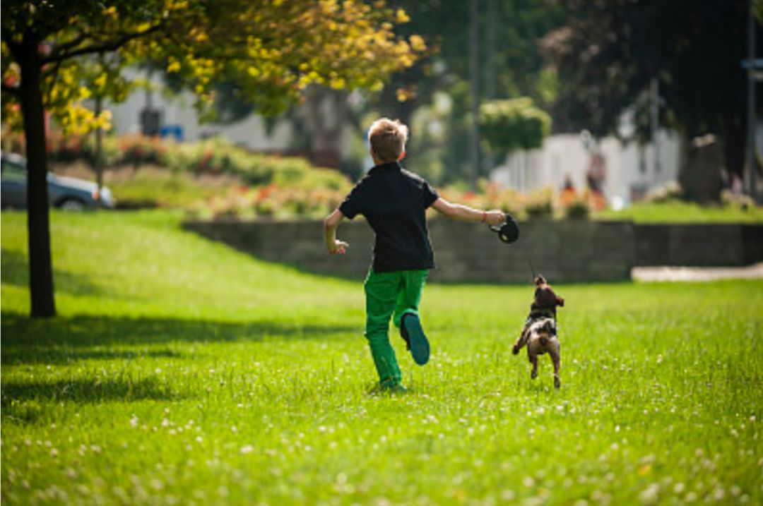 培养孩子的责任心，比你想象的重要