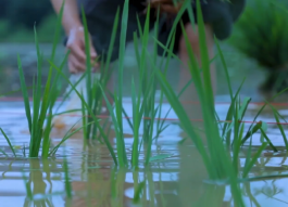 探索夏令營 | 探索古蜀國·夏令營【成都營】第二期招募啦！僅剩少量名額，預(yù)報從速！