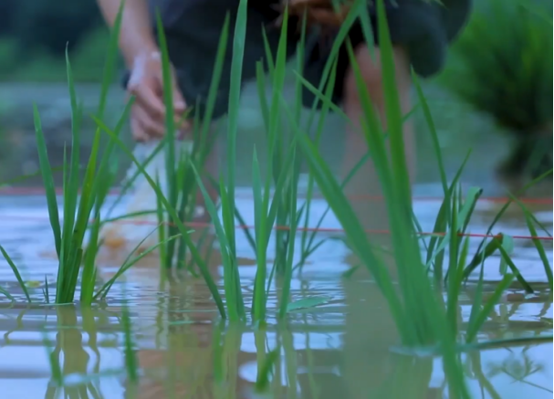 探索夏令營 | 探索古蜀國·夏令營【成都營】第二期招募啦！僅剩少量名額，預(yù)報從速！