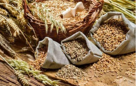 探索夏令營 | 探索古蜀國·夏令營【成都營】第二期招募啦！僅剩少量名額，預(yù)報從速！