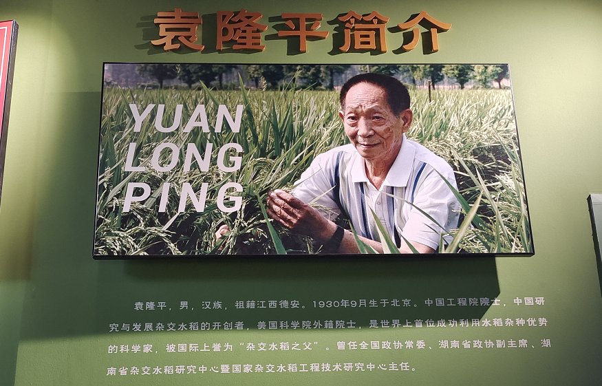 探索夏令營 | 探索古蜀國·夏令營【成都營】第二期招募啦！僅剩少量名額，預(yù)報從速！