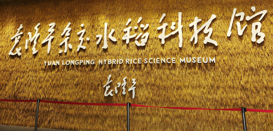 探索夏令營 | 探索古蜀國·夏令營【成都營】第二期招募啦！僅剩少量名額，預(yù)報從速！