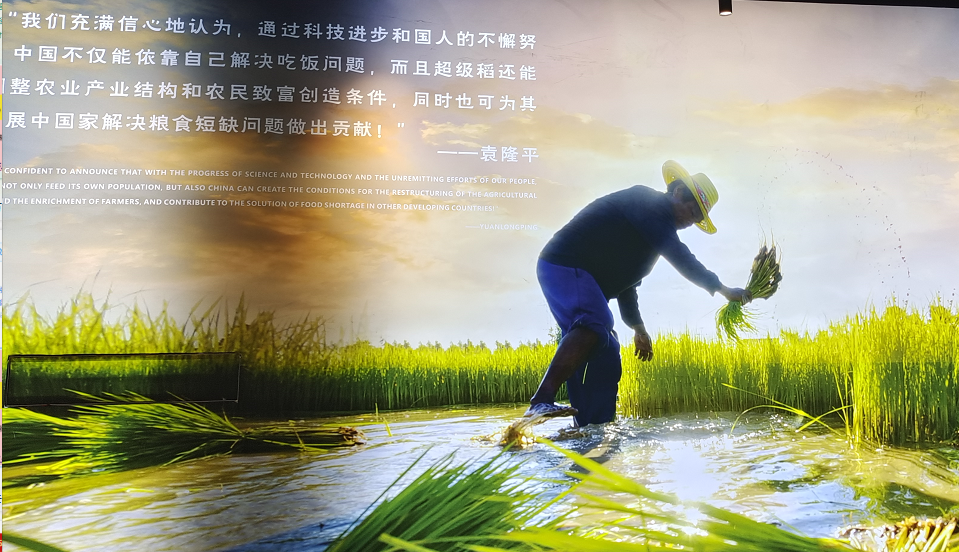 探索夏令營 | 探索古蜀國·夏令營【成都營】第二期招募啦！僅剩少量名額，預(yù)報從速！