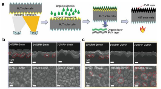 第二届中国钙钛矿与叠层电池（大西南）产业化论坛邀您走进通威钙钛矿中试线
