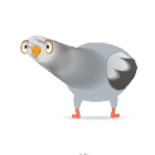 疯狂的鸽子寒假版