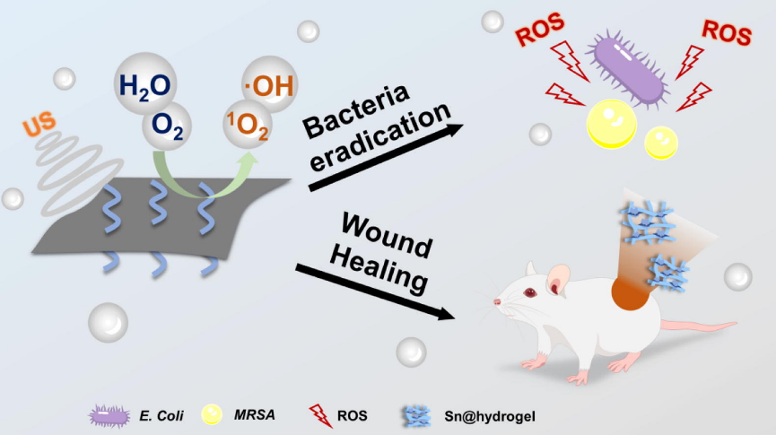 水凝胶伤口敷料怎么用让细菌无处遁形，让伤口安全愈合，一文带你看抗菌水凝胶敷料的设计策略_https://www.jmylbn.com_新闻资讯_第9张