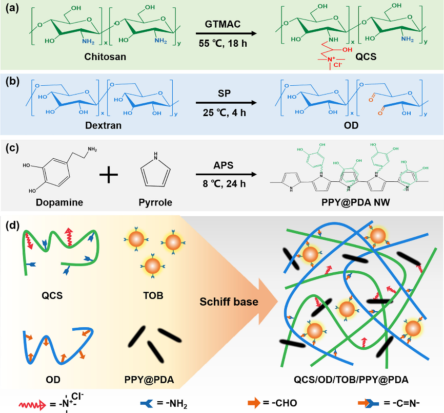 水凝胶伤口敷料怎么用让细菌无处遁形，让伤口安全愈合，一文带你看抗菌水凝胶敷料的设计策略_https://www.jmylbn.com_新闻资讯_第4张