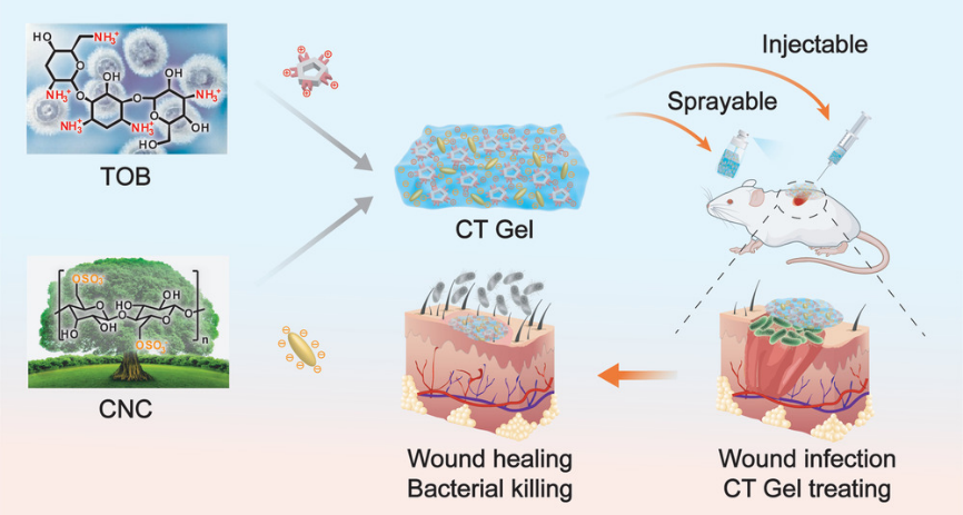 水凝胶伤口敷料怎么用让细菌无处遁形，让伤口安全愈合，一文带你看抗菌水凝胶敷料的设计策略_https://www.jmylbn.com_新闻资讯_第5张