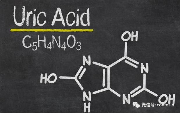 高尿酸多喝水管用吗？专家给出的6点建议!