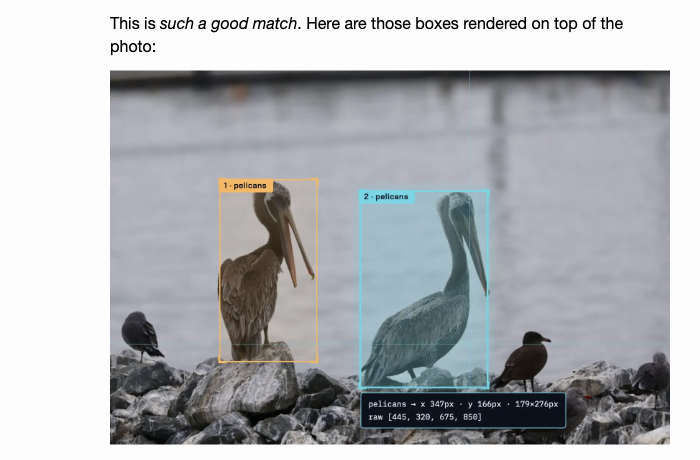 Running bounding box detection locally, framing the pelicans in the photo