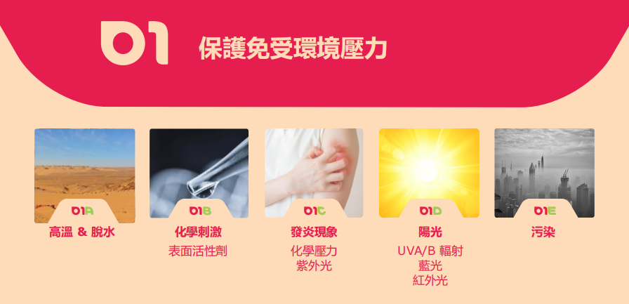 液体敷料批文怎么申请蓝佳堂独家获批二类医美抗衰修复敷料批文_https://www.jmylbn.com_新闻资讯_第3张