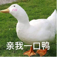 超短波电疗机治什么真就万物皆可超短波？_https://www.jmylbn.com_新闻资讯_第15张